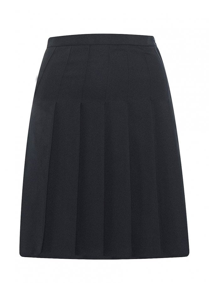 Designer Pleated Skirt - Black