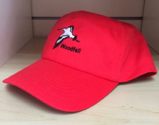 Woodfall Primary Baseball Cap