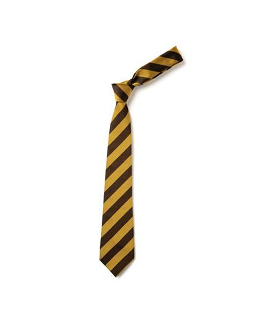 Gayton Primary School Tie