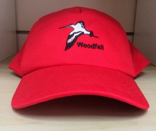 Woodfall Primary Baseball Cap